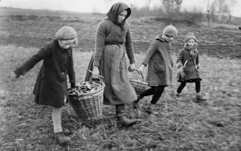 Das Auge des Arbeiters_Kaethe Kollwitz Museum_03.jpg