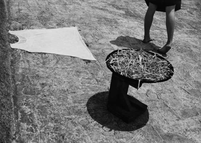 Double Elephant-Alvarez_Bravo_neu.jpg