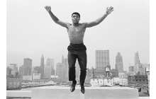 In Amerika 1963 - 2013