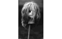 Das Ende des Traums - Puppenphotographien