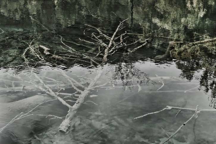 Baeume und Waelder_ATELIER HP SPEIDEL_4.jpg