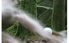 Im Schoß des Wolfstals