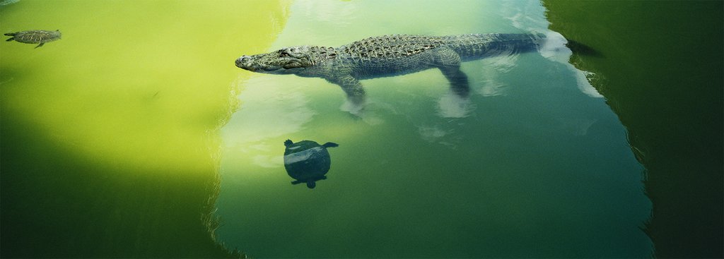 Ladies Only 1-Lichtblick_02_Karen_Glaser.jpg